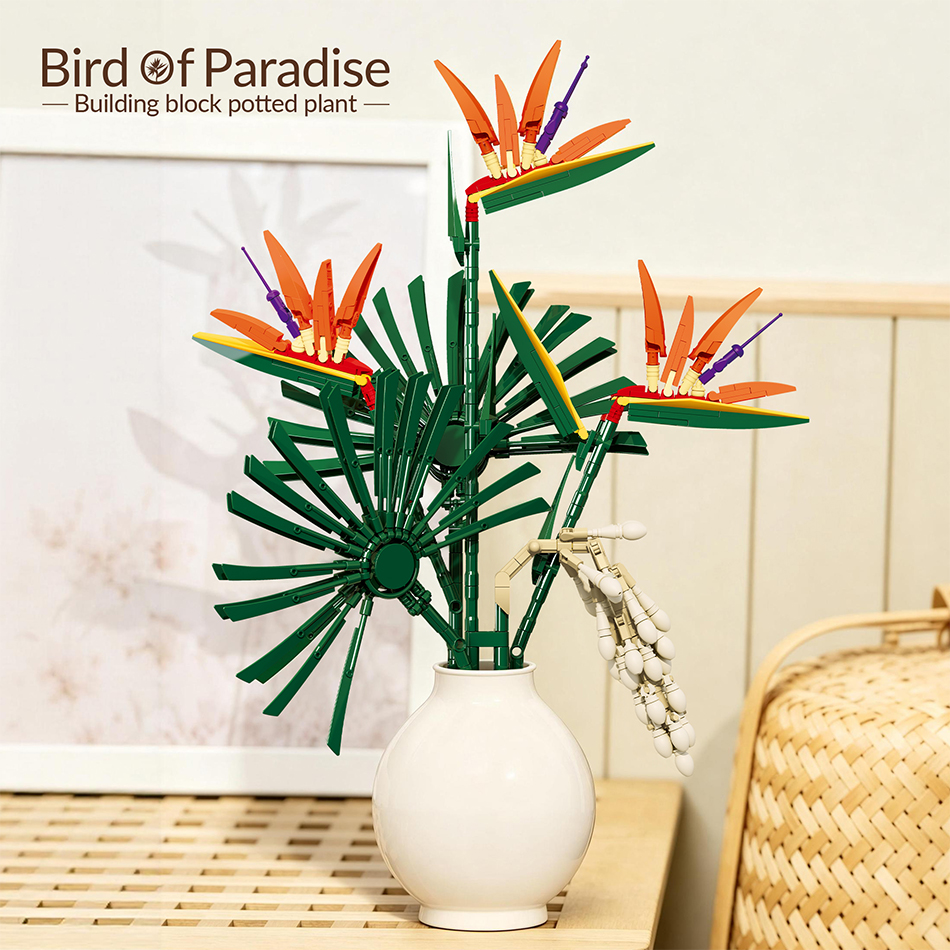 Bird Paradise Strelitzia - 530 PCS Bird of Paradise Flower