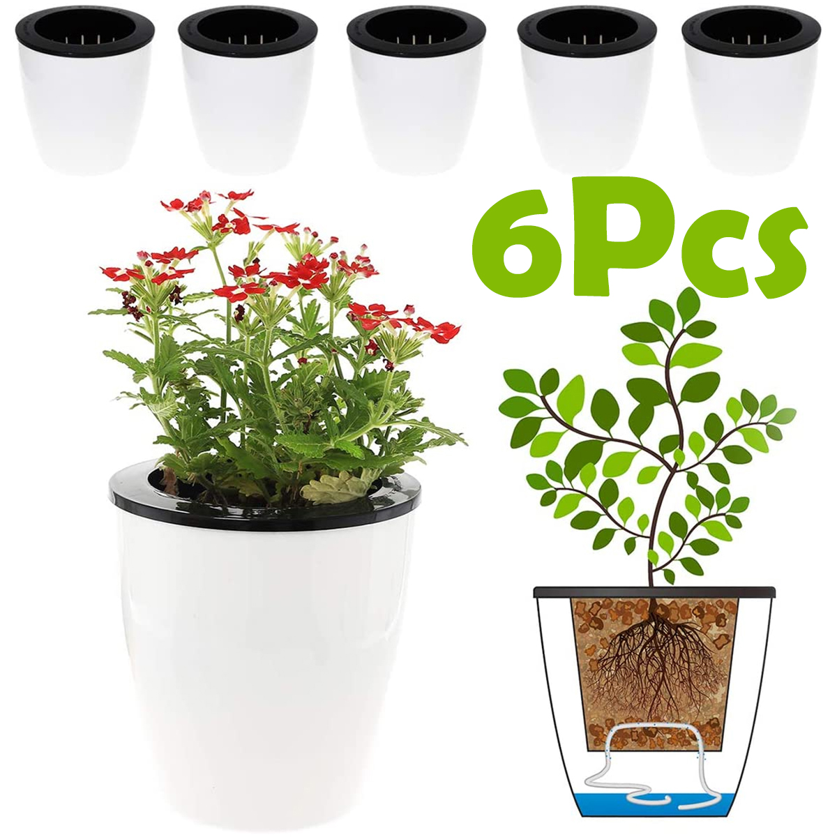 Echeveria Succulent - 6/12Pcs Self-Watering Flower Pots 12cm Large