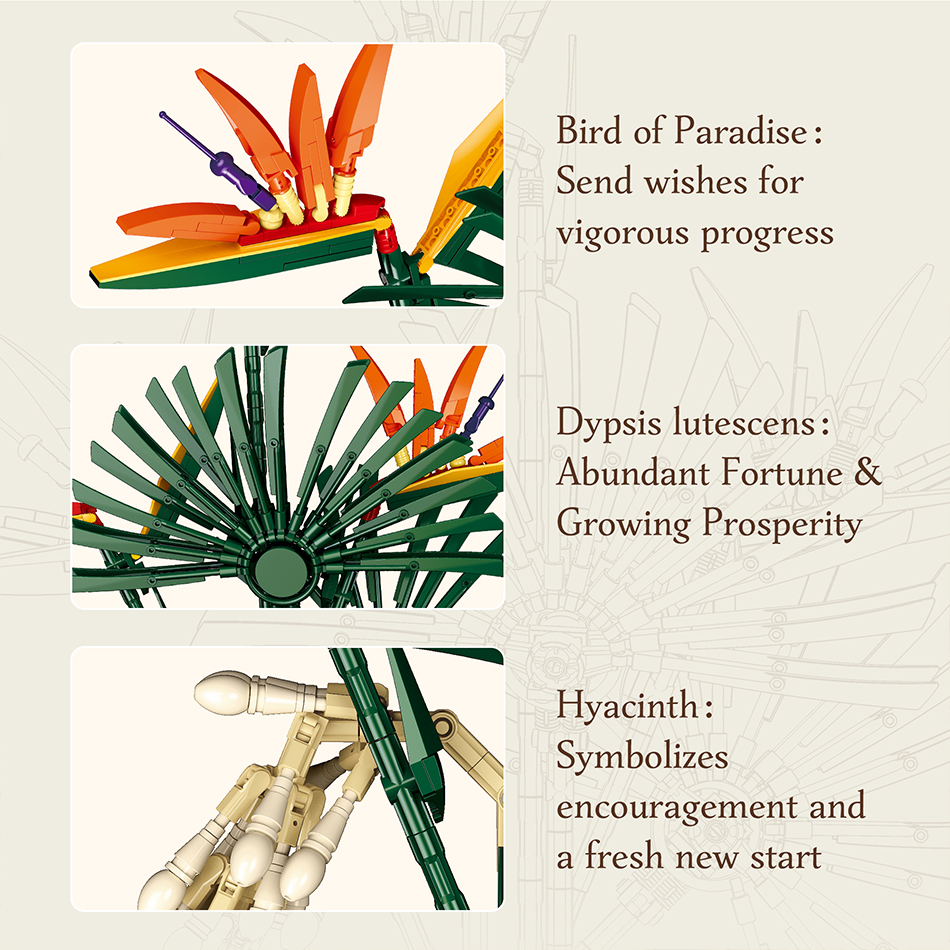 530 PCS Bird of Paradise Flowe – Bird Paradise Strelitzia Bewertung und Preis