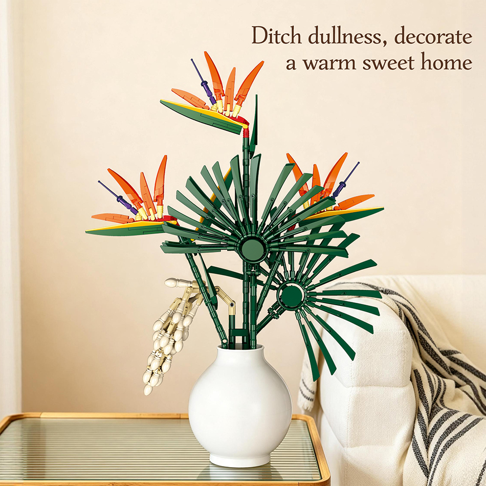 530 PCS Bird of Paradise Flowe – Bird Paradise Strelitzia Bewertung und Preis