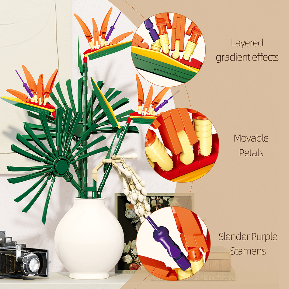 530 PCS Bird of Paradise Flowe – Bird Paradise Strelitzia Bewertung und Preis