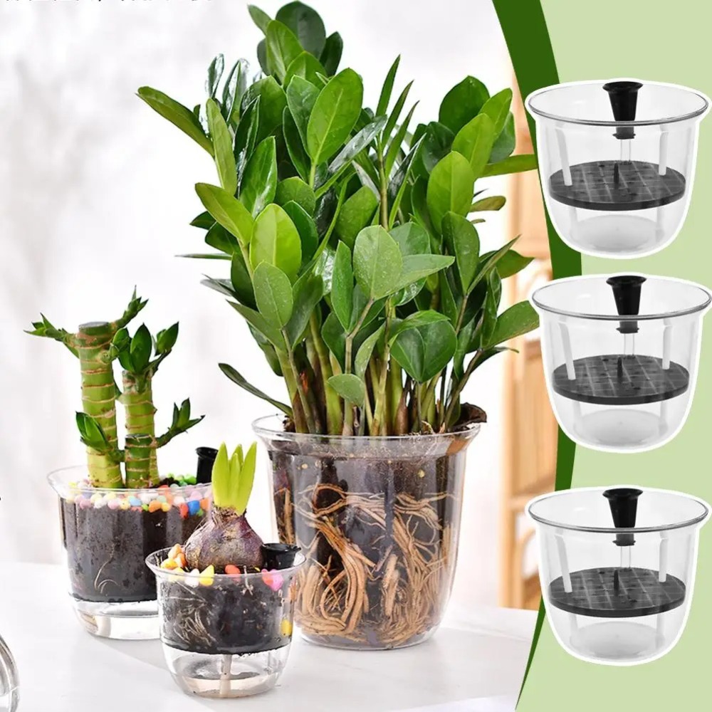 2Pcs Self-Watering Pot, Pots f – Aloe Vera Pot Bewertung und Preis