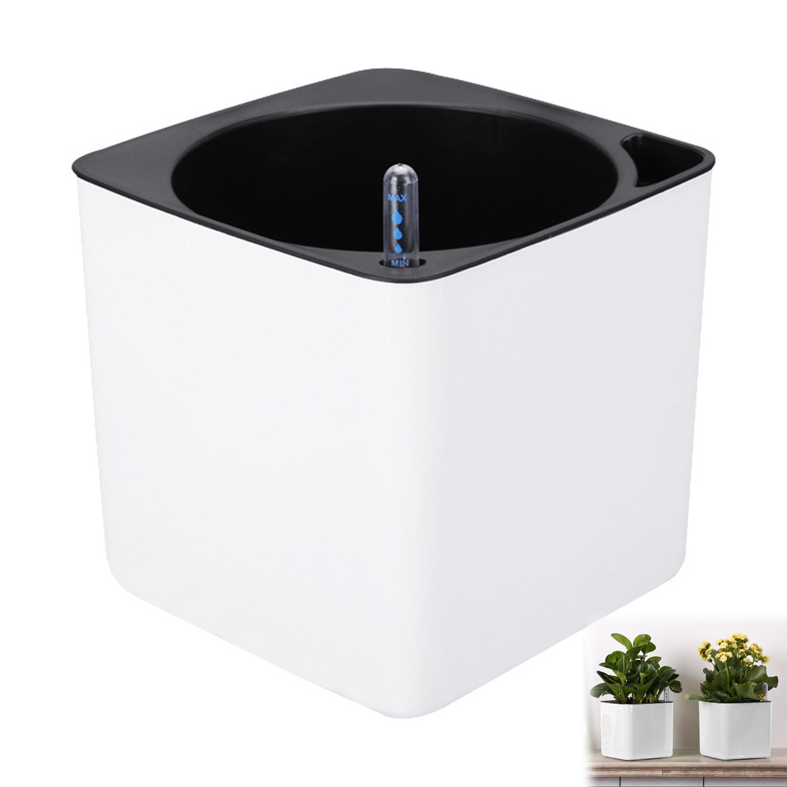 Automatic Self Watering Flower – Aloe Vera Pot Bewertung und Preis