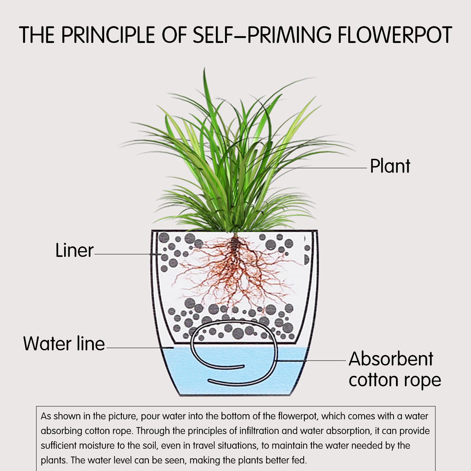 Automatic Self Watering Flower – Aloe Vera Pot Bewertung und Preis