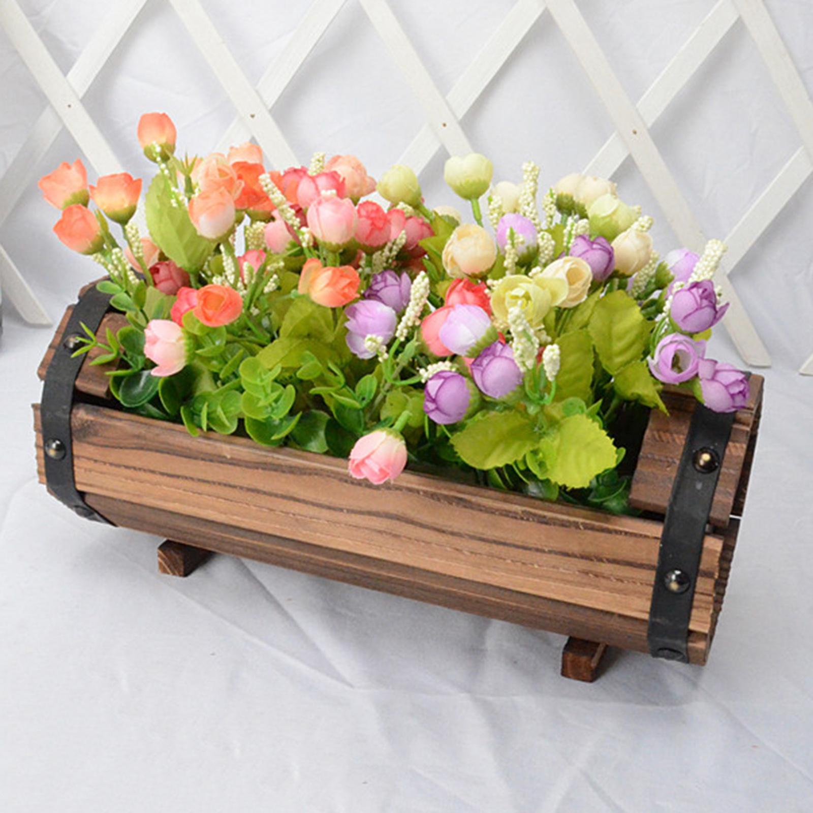 Antique Decorative Flower Pot  – Echeveria Succulent Bewertung und Preis