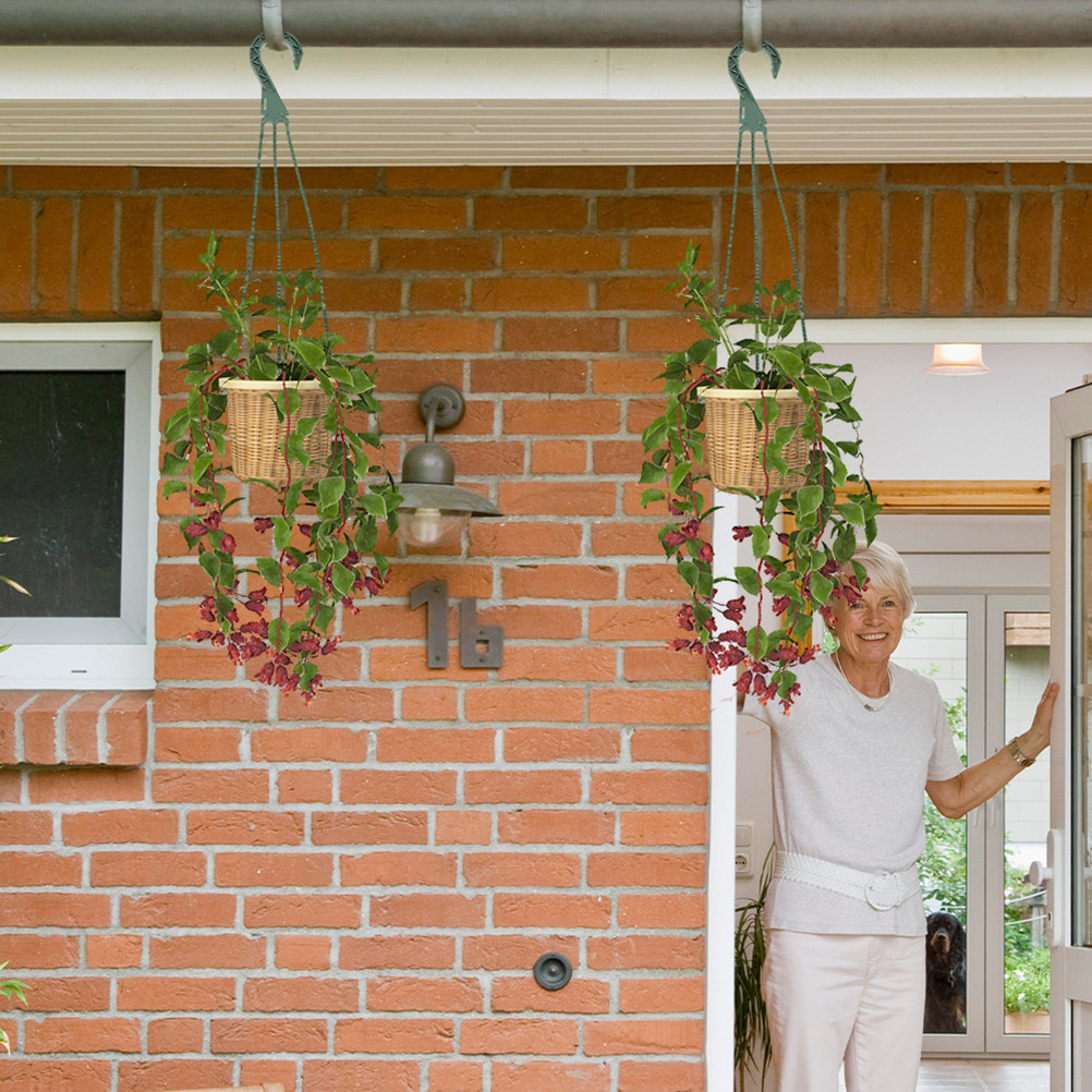 5Pcs Hanging Basket Chain Set  – Spider Plant Hanging Bewertung und Preis