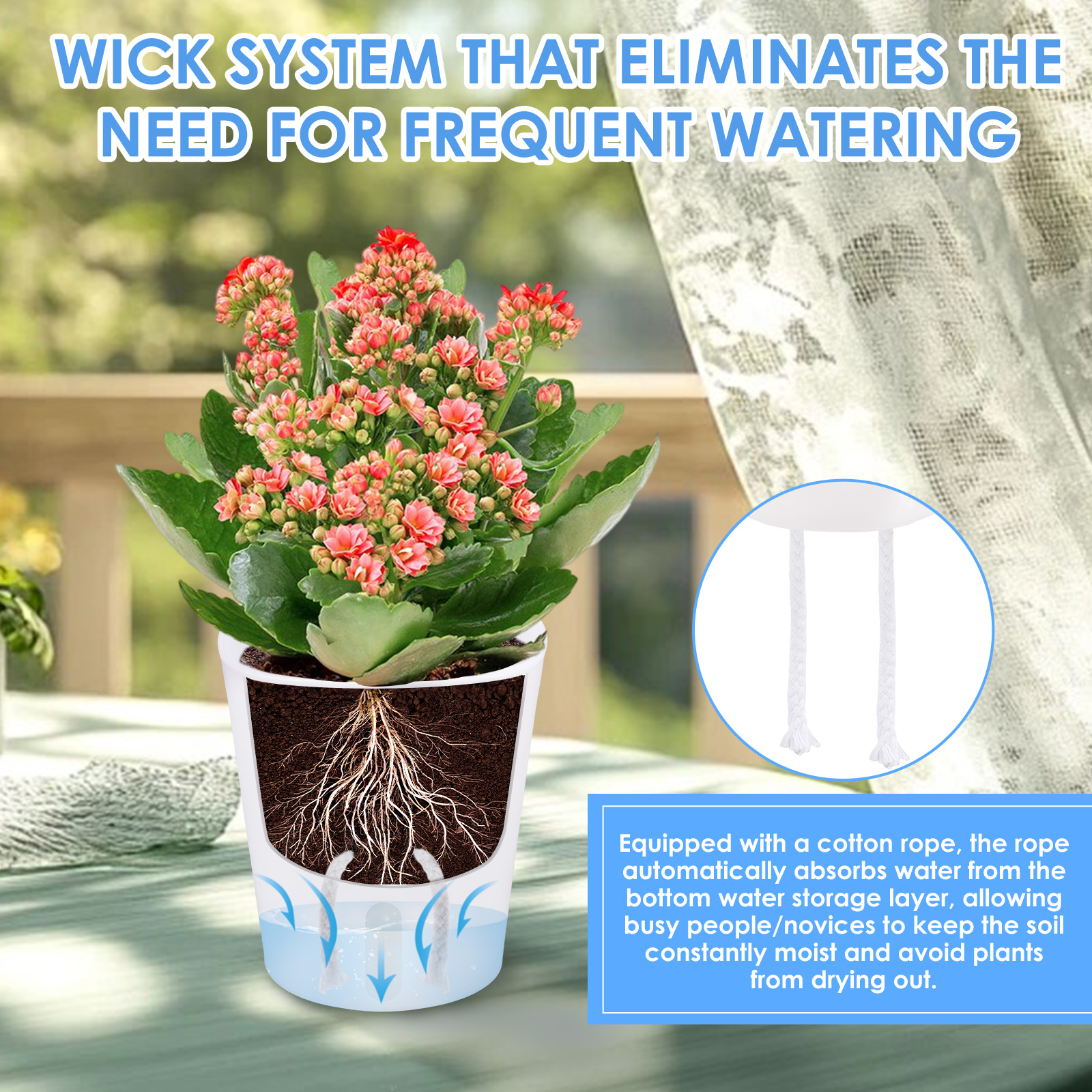 10Pcs Self Watering Plastic Fl – Aloe Vera Pot Bewertung und Preis