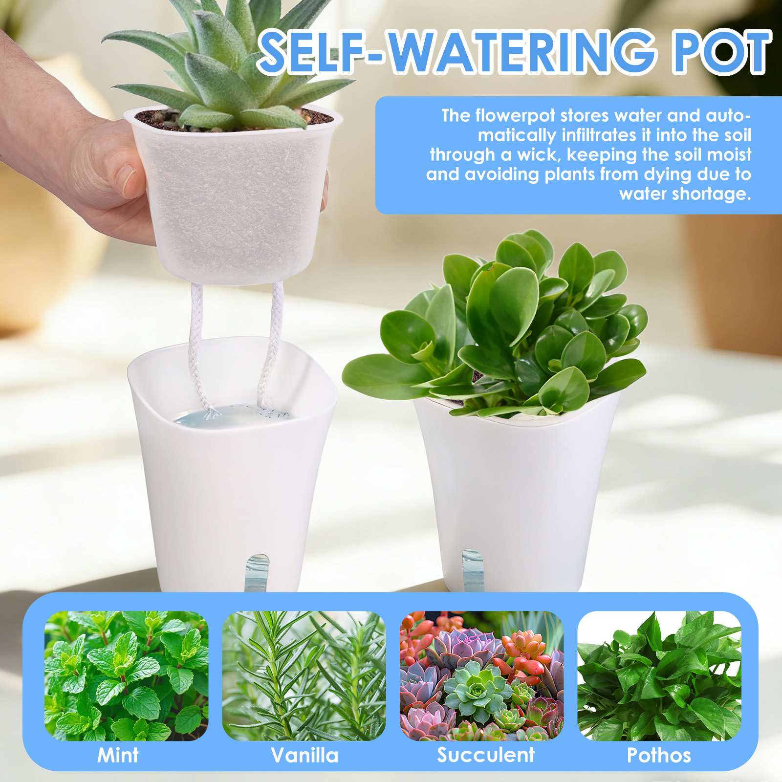 10Pcs Self Watering Plastic Fl – Aloe Vera Pot Bewertung und Preis
