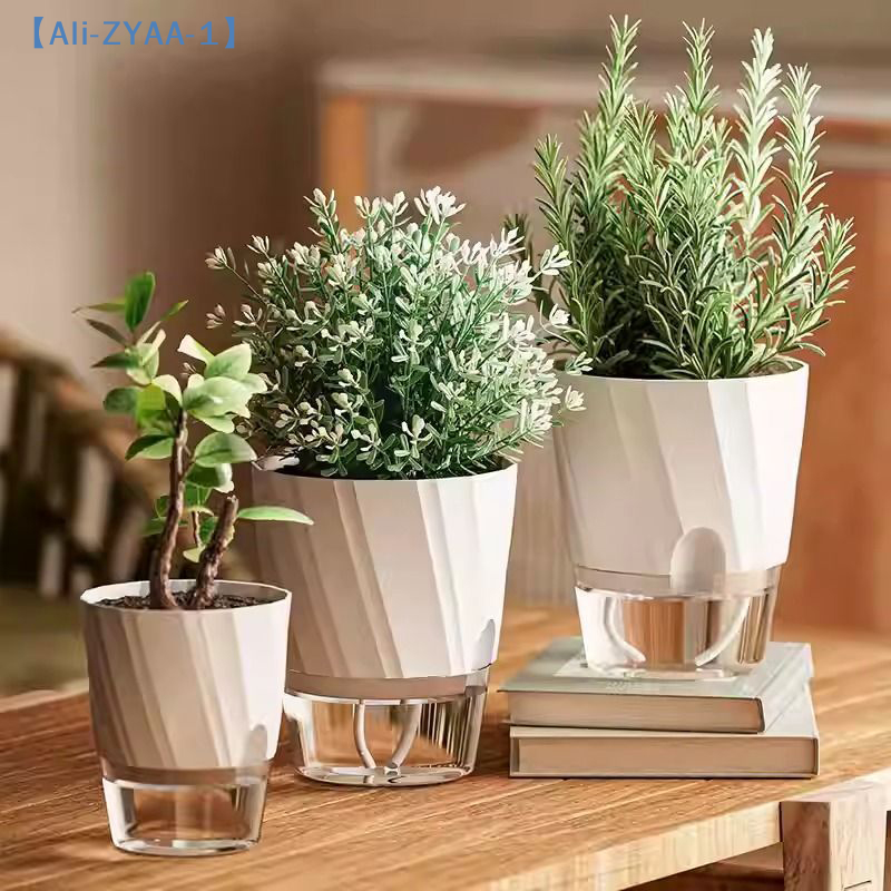 【ZYAA-1】Lazy Hydroponic Flower – Aloe Vera Pot Bewertung und Preis