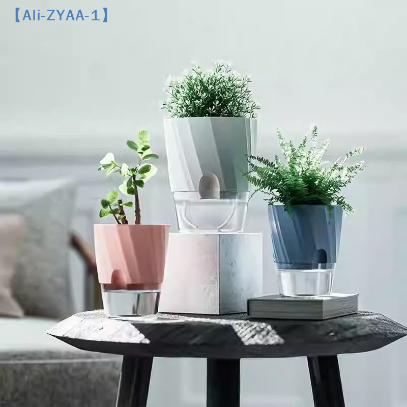 【ZYAA-1】Lazy Hydroponic Flower – Aloe Vera Pot Bewertung und Preis