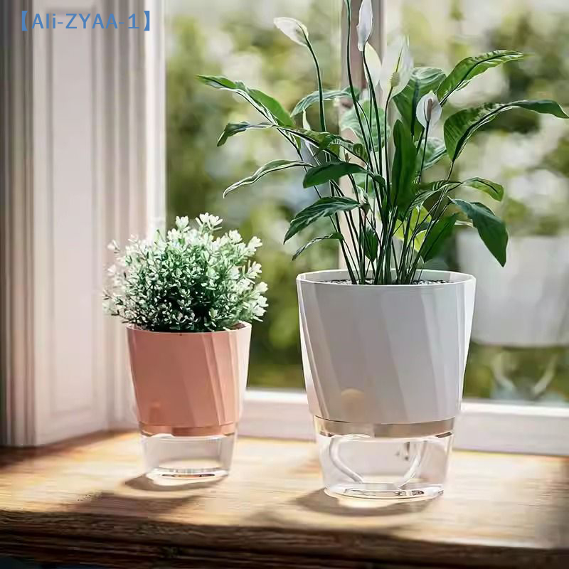 【ZYAA-1】Lazy Hydroponic Flower – Aloe Vera Pot Bewertung und Preis