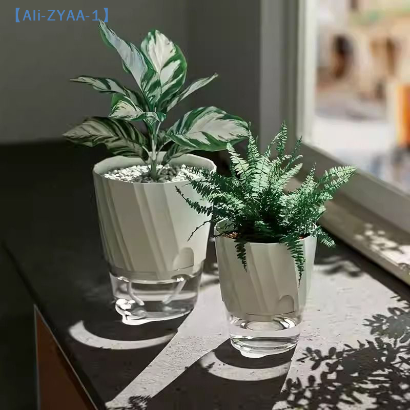 【ZYAA-1】Lazy Hydroponic Flower – Aloe Vera Pot Bewertung und Preis