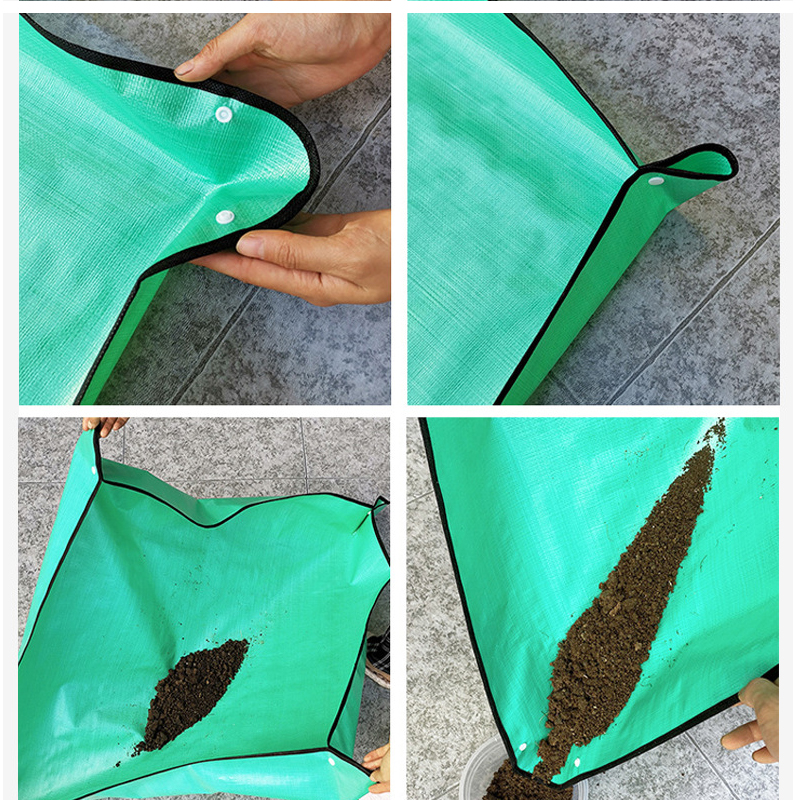 Plant Repotting Mat Waterproof – Echeveria Succulent Bewertung und Preis