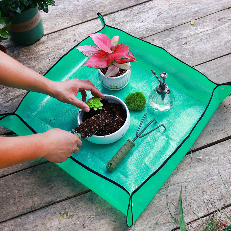 Plant Repotting Mat Waterproof – Echeveria Succulent Bewertung und Preis