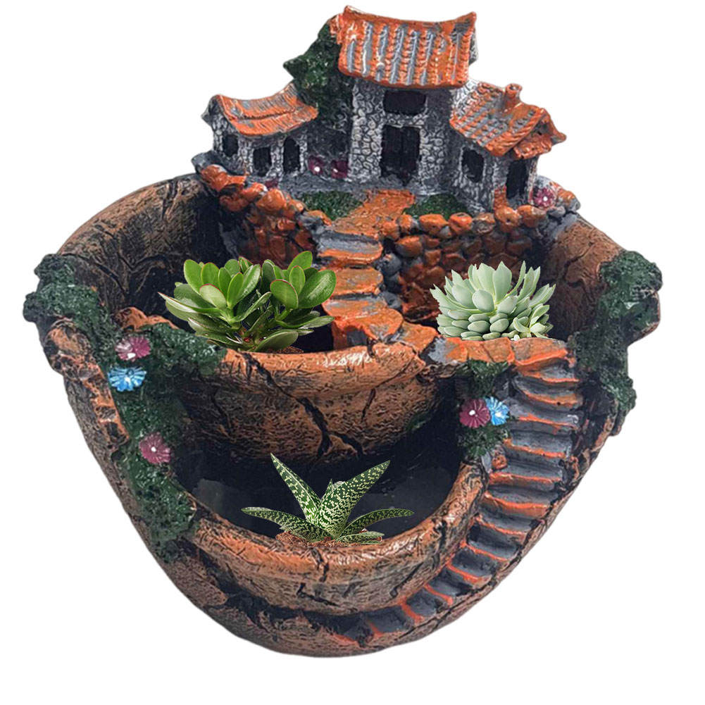 Succulent Pot Vintage Multi Po – Echeveria Succulent Bewertung und Preis
