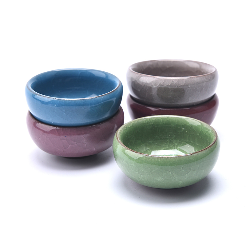 Cute Ice-Crack Glaze Flower Ce – Echeveria Succulent Bewertung und Preis