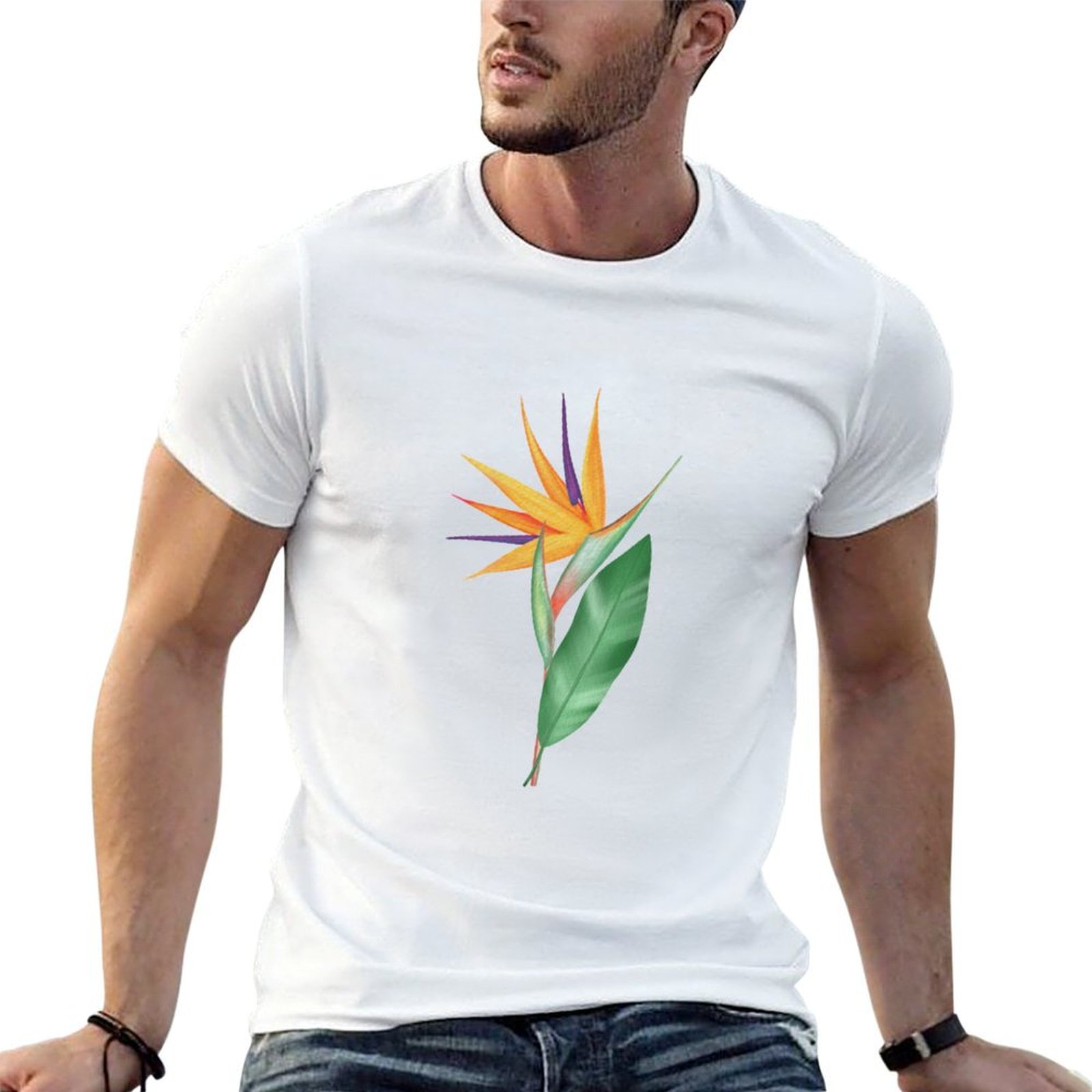 Watercolor bird of paradise fl – Bird Paradise Strelitzia Bewertung und Preis