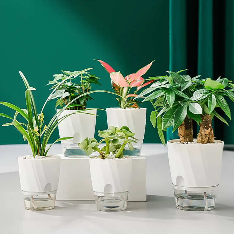 Lazy Hydroponic Flower Pot Aut – Aloe Vera Pot Bewertung und Preis