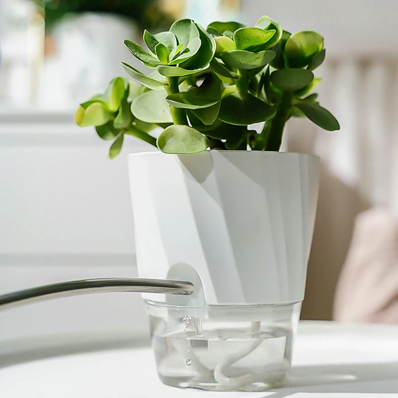 Lazy Hydroponic Flower Pot Aut – Aloe Vera Pot Bewertung und Preis