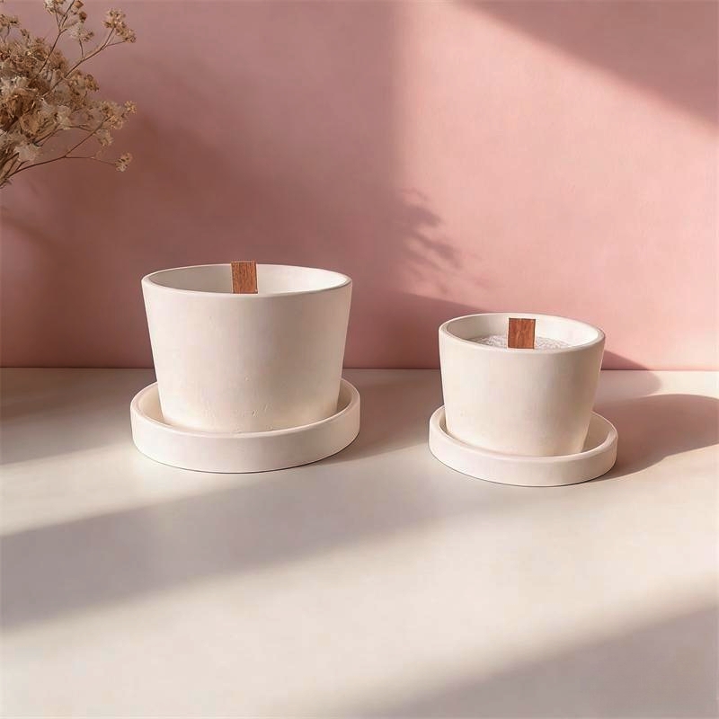 Round Plaster Vase Flowerpot C – Echeveria Succulent Bewertung und Preis