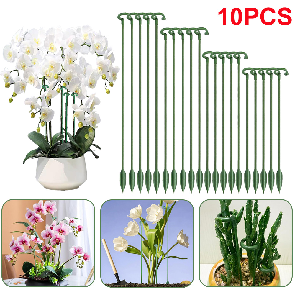 5/10pcs Plant Support Stakes P – Echeveria Succulent Bewertung und Preis
