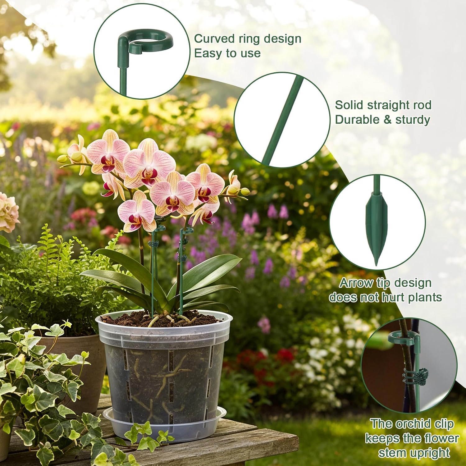 5/10pcs Plant Support Stakes P – Echeveria Succulent Bewertung und Preis
