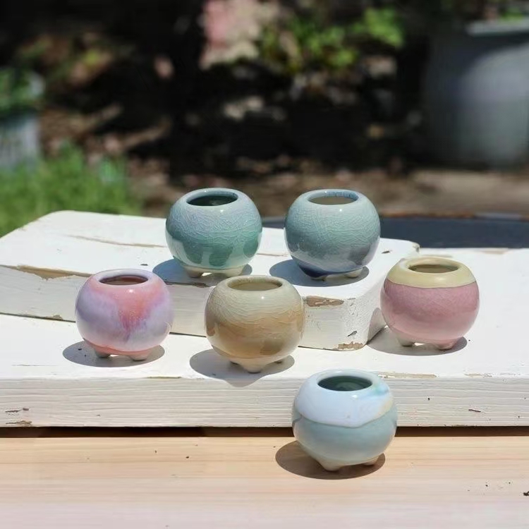6Pcs Mini Flowerpot Succulents – Echeveria Succulent Bewertung und Preis