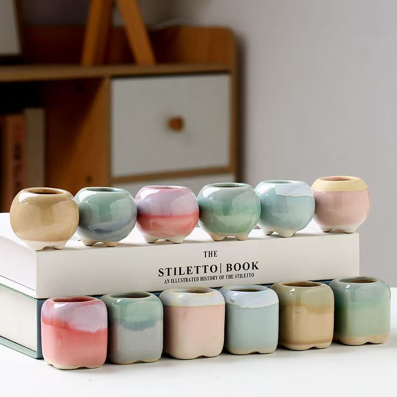 6Pcs Mini Flowerpot Succulents – Echeveria Succulent Bewertung und Preis