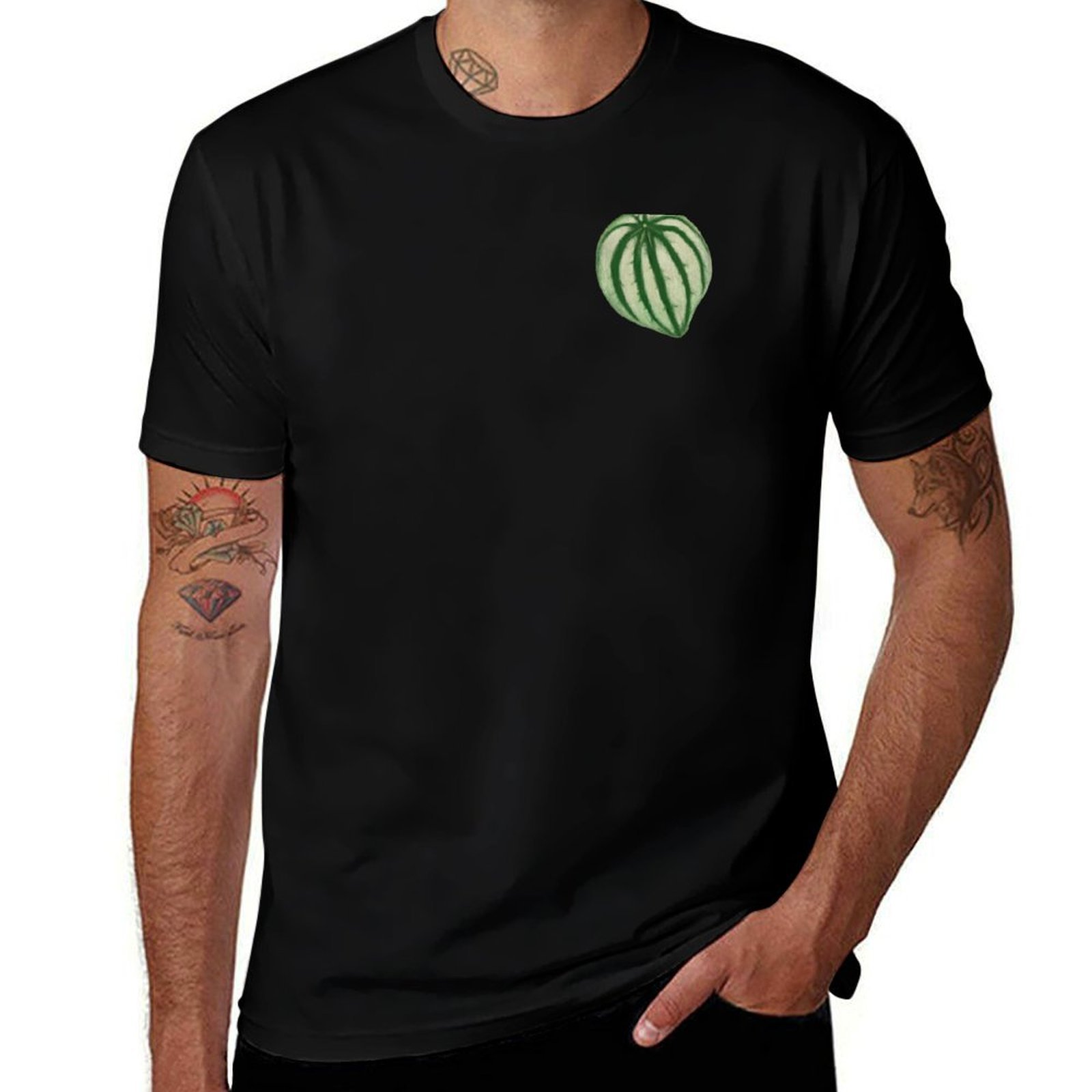 Watermelon Peperomia T-Shirt C – Peperomia Watermelon Bewertung und Preis