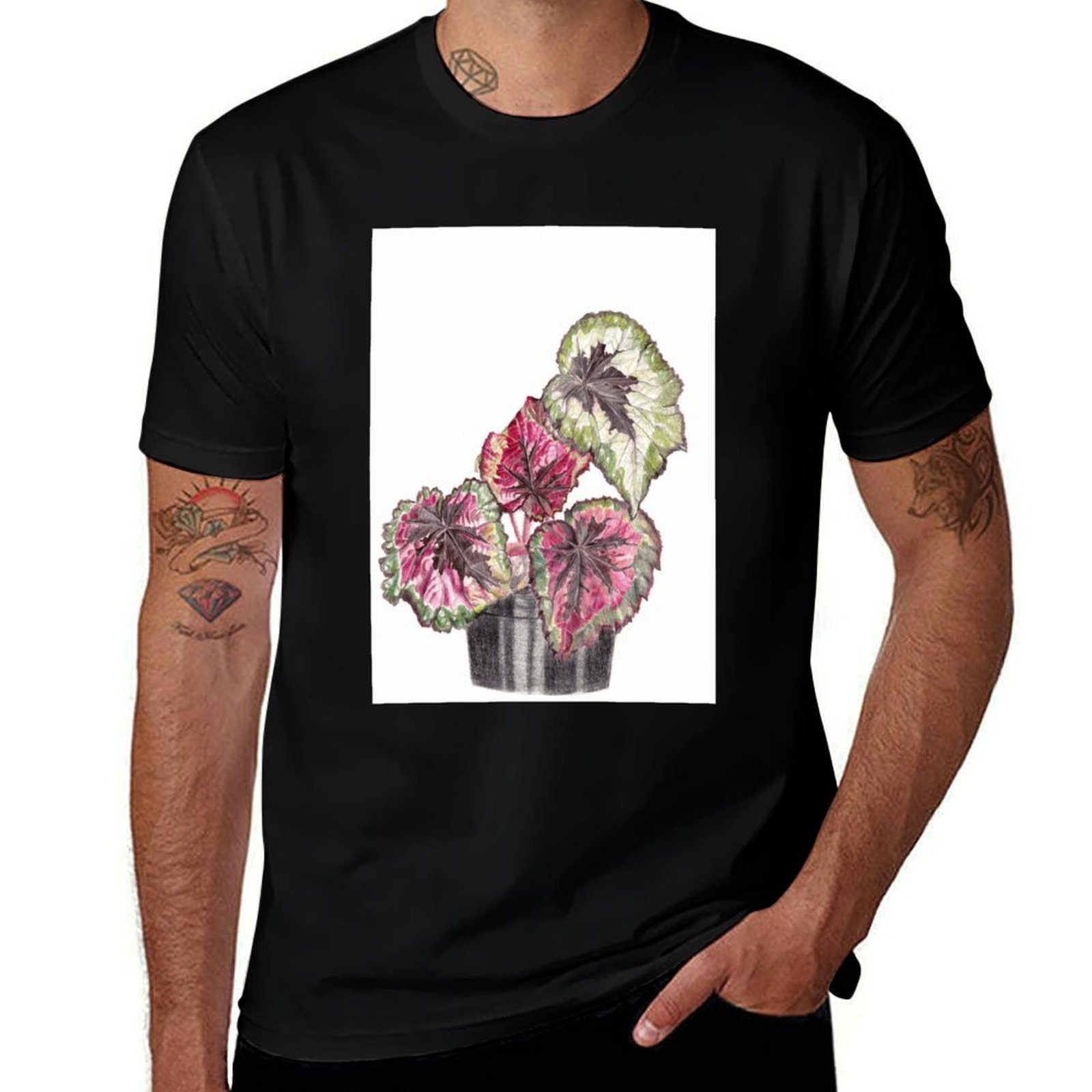 Begonia Rex T-Shirt Simple Gra – Begonia Rex Bewertung und Preis