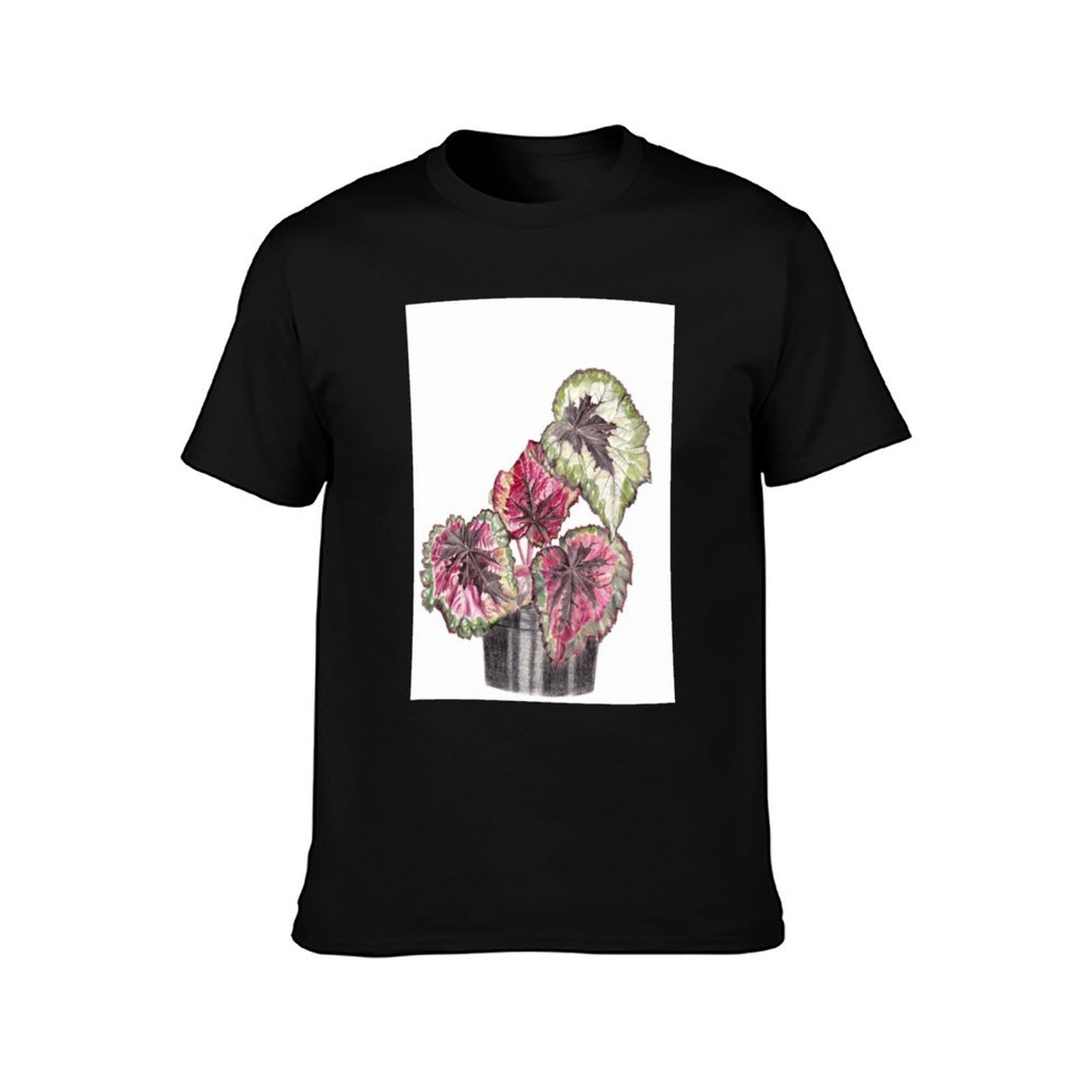Begonia Rex T-Shirt Simple Gra – Begonia Rex Bewertung und Preis